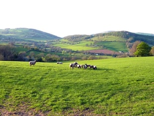 Council to debate "Supporting Our Farmers" motion amid tax changes