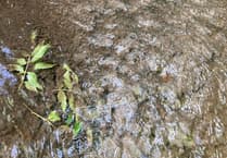 St Tudy farmers donate to charity to avoid prosecution for river pollution