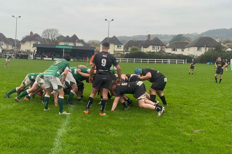 Launceston scrum-half Goerge Hillson prepares to put the ball into a scrum at Sidmouth on Saturday. Picture: Launceston Rugby Club