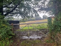 Fifth refusal for hedgerow plan 