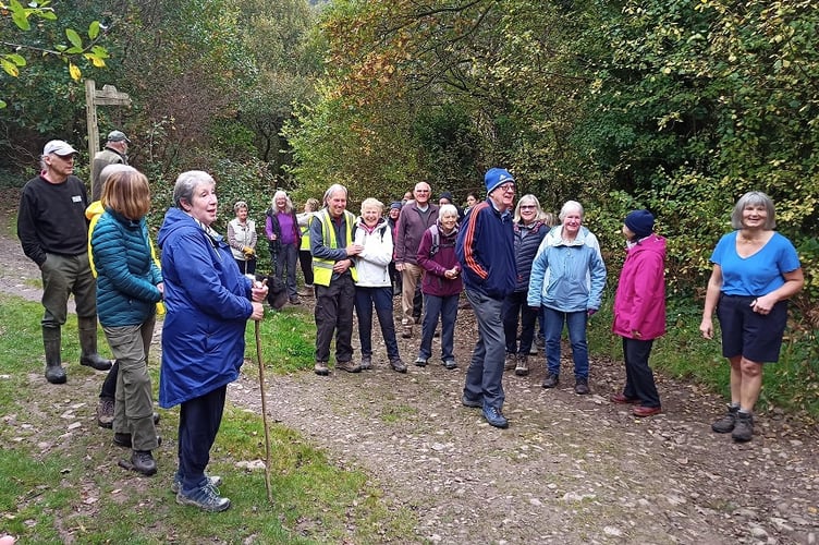 The new Holsworthy Walk and Talk group walk last month brought out 39 walkers, albeit Level 2 and Level 3 combined