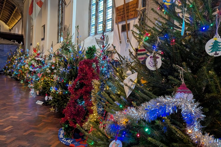 Some of the many lovingly decorated trees in the vast St Petroc's Church. (Picture: Aaron Greenaway)