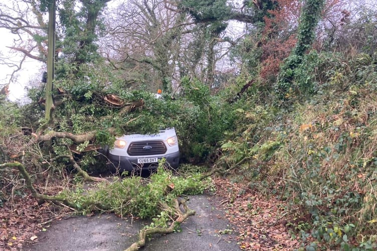 A National Grid van has a lucky escape near Holsworthy after a tree fell on it while engineers battled to restore power to homes. The driver was unscathed. (Picture: Chris Heard) 
