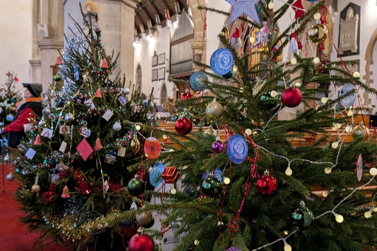 Two of the many trees inside the Church of St Peter and St Paul in Holsworthy (Picture: Aaron Greenaway)