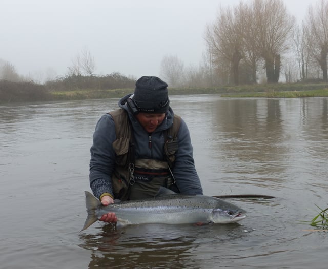 New rules in place to protect salmon