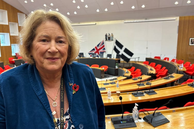 Cornwall Council leader Cllr Linda Taylor. (Picture: Lee Trewhela/LDRS)