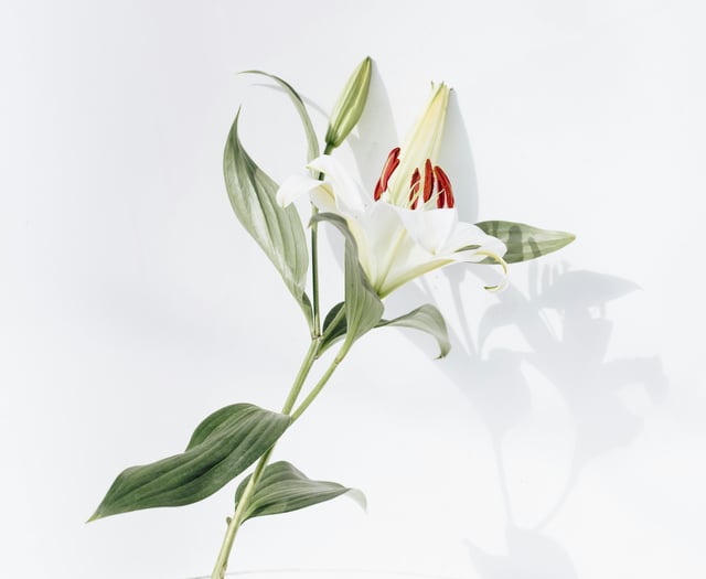 Obituary: Evelyn Jennings