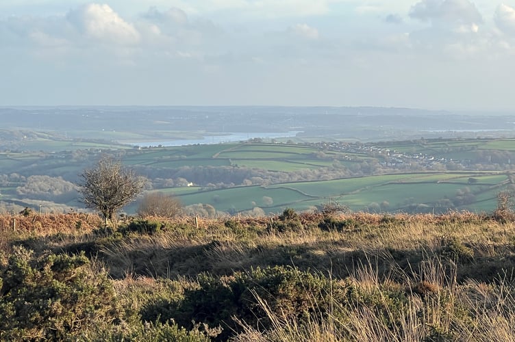 Guided walks exploring the Tamar Valley start up in January until March with more information at the website: www.tamarvalley-nl.org.uk/discover-explore/walking/free-walk-groups/. (Picture: Tamar Valley National Landscapes