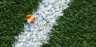Football and rugby results from the weekend