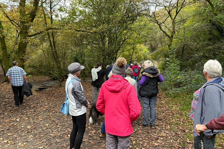 The Holsworthy Walk and Talk group at Torrington Commons