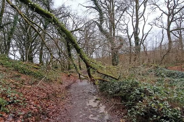 Walkers advised to stay away from Golitha Falls during current storm