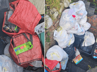 LETTER: Bin issues causing "significant health and hygiene risks"