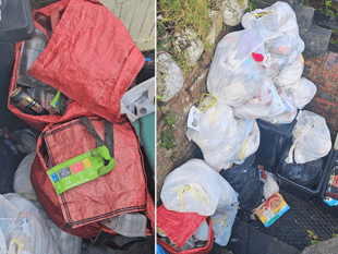 LETTER: Bin issues causing "significant health and hygiene risks"