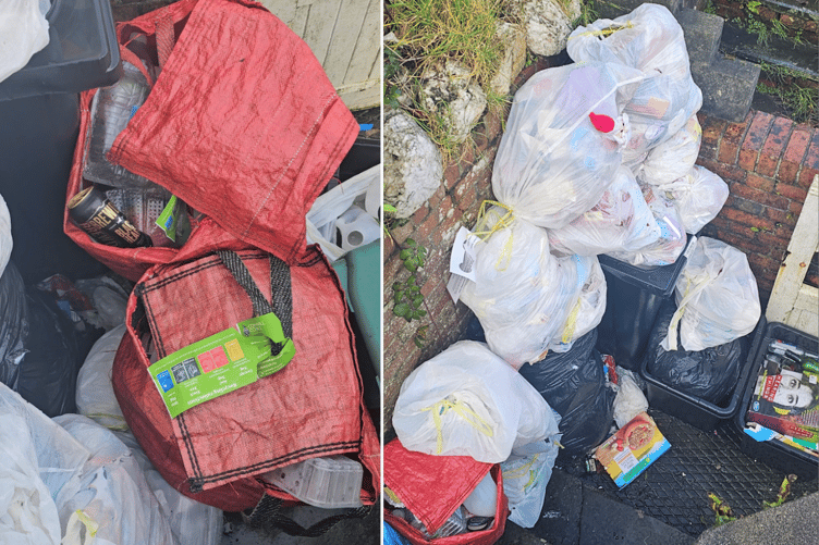 Launceston Bin Collection Issues