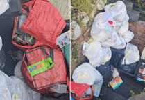 LETTER: Bin collection issues causing "significant health and hygiene risks"