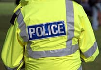 Police called after dead fox cubs spotted hanging from road sign