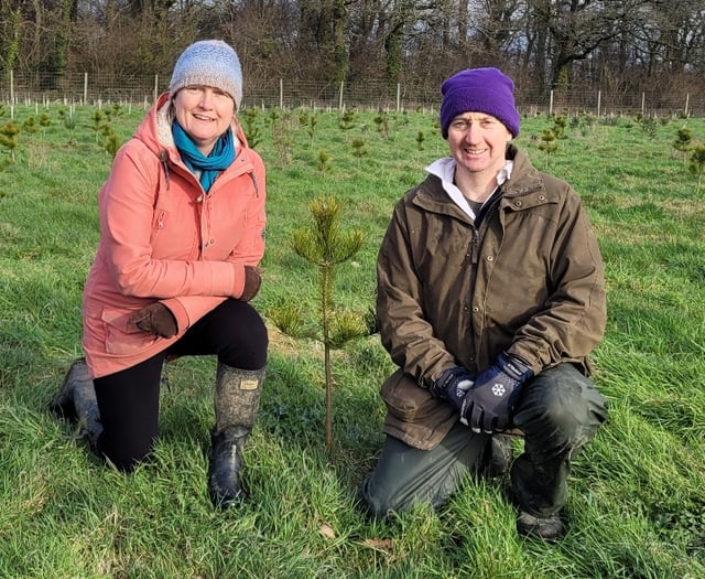 Farm land turned into forest of the future with thousands planted