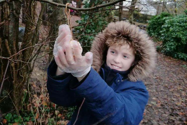 A pupil at Nanstallon School, which has been awarded Eco-School status.
