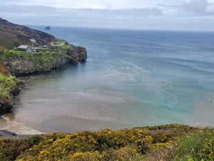 Cornwall Council backs motions to tackle sewage and litter