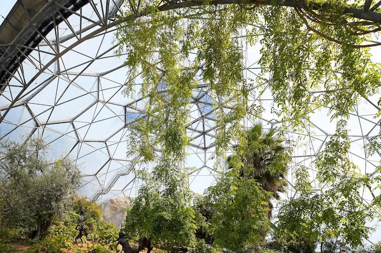 The Twilight Walk at the Eden Project will take place inside the Mediterranean biome if weather conditions are unfavourable. (Picture: Eden Project)