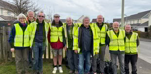 Fun in the sun for Chilsworthy's litter picking volunteers