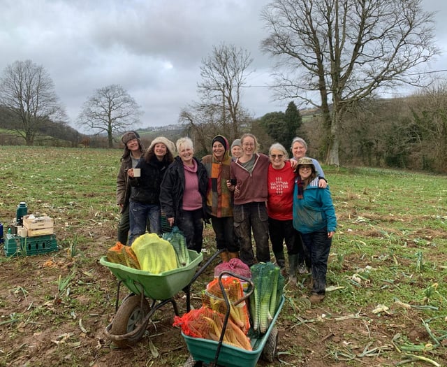 Charity out to ensure no food goes to waste in Cornwall