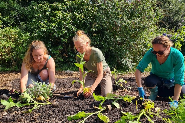 VOLUNTEERS in the garden at Tregovenek