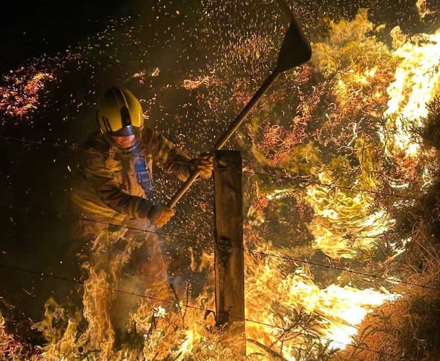 Arson attack at a nature reserve has "devastating” impact on wildlife