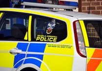 Police investigate after dead fox cubs found hanging from A30 road sign