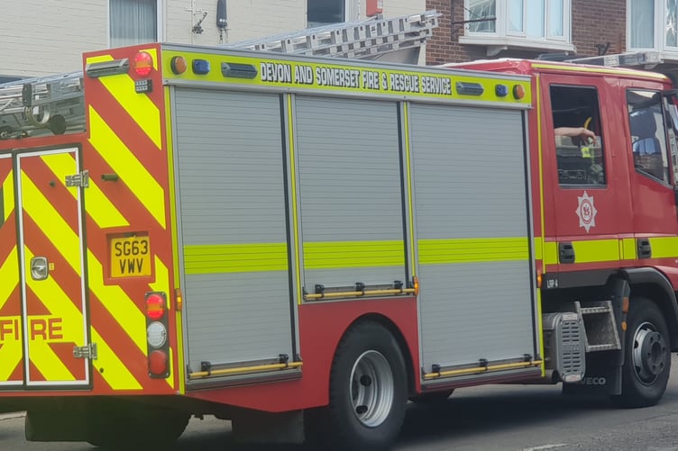Two Wellington fire crews attended a kitchen blaze in the town.