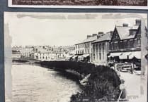 Looking Back: Love affair between a gander and a heifer