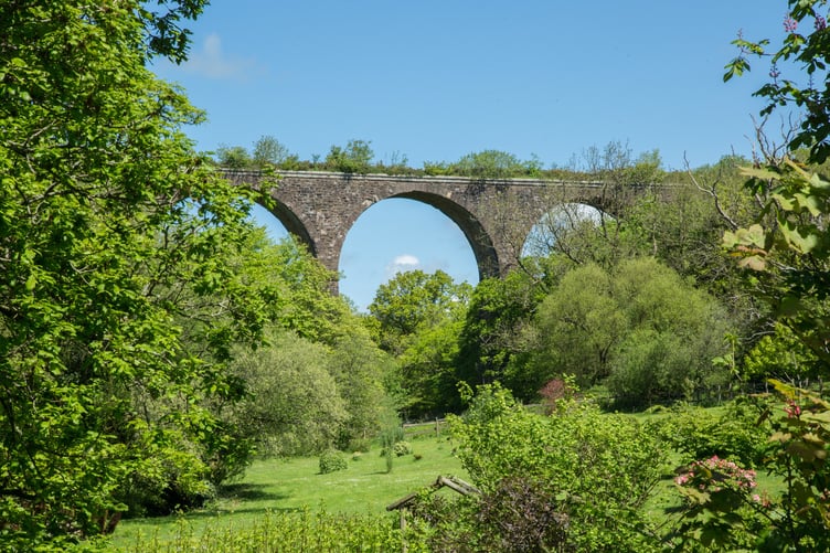 The overgrown Coles Mill Viaduct, pictured in 2016. (Picture: Guy Wareham/Creative Commons)