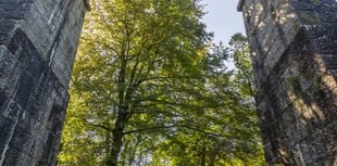 Heritage trust to host nature activity day at architectural wonder