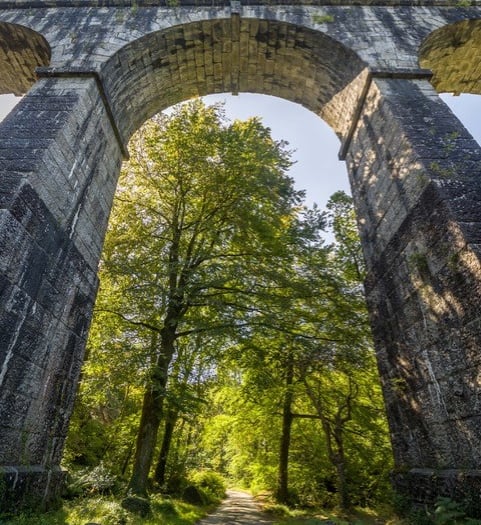 Heritage trust to host nature activity day at architectural wonder