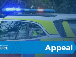 Police searching for driver following hit-and-run incident