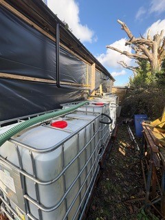 Water butts like these can help harvest rainwater to supply water to plants in gardens and polytunnels