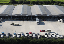 Holsworthy Livestock Market Report: Wednesday, June 11
