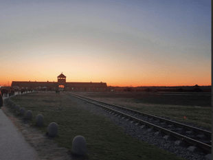 Students flown to Auschwitz for moving educational visit