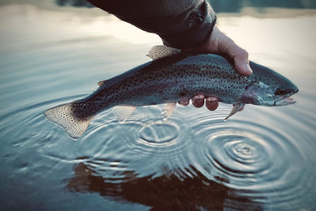 Fishing improves during April at South West Lakes Trusts sites