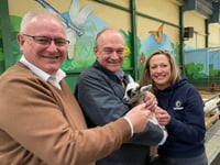 Conservatives lose four seats in Torridge election