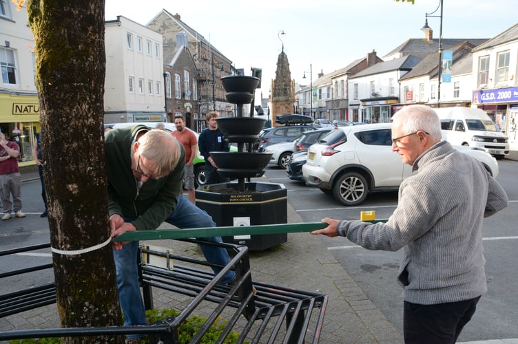 The annual measuring of the tree in Holsworthy (Picture: Rodney Parrish)