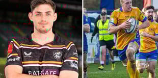 Stevenson joins Albion as Hodges and Speare sign extensions