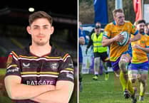 Stevenson joins Albion as Hodges and Speare sign extensions