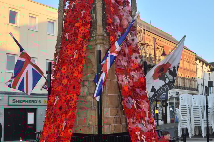 A tower of poppies in Holsworthy Square (Picture: Rodney Parrish)
