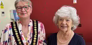 Artist donates artwork to town hall