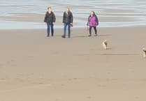 Cornwall Council warns dog owners amid upcoming beach restrictions