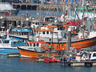 Fishermen slam government over new EU deal