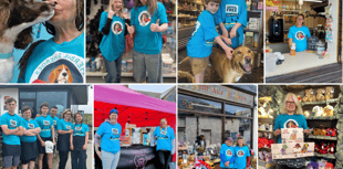 Town turned turquoise for World Animal Free Research Day