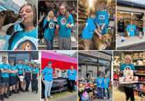 Town turned turquoise for World Animal Free Research Day