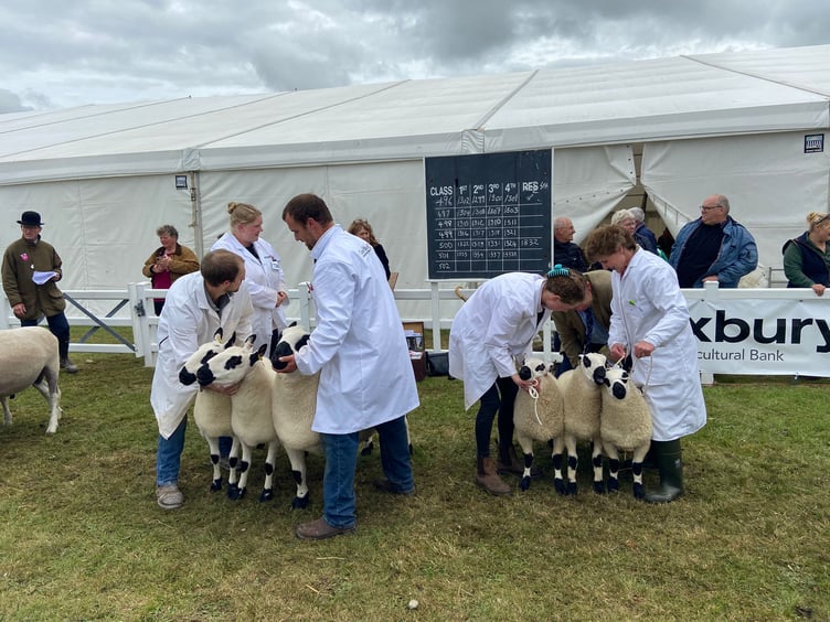 Royal Cornwall Show 2025